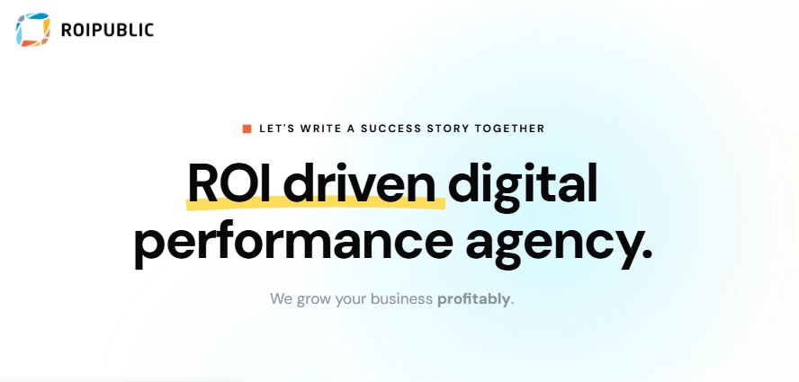 ROIPUBLIC consists of experts in ROI-oriented SEO and performance marketing.