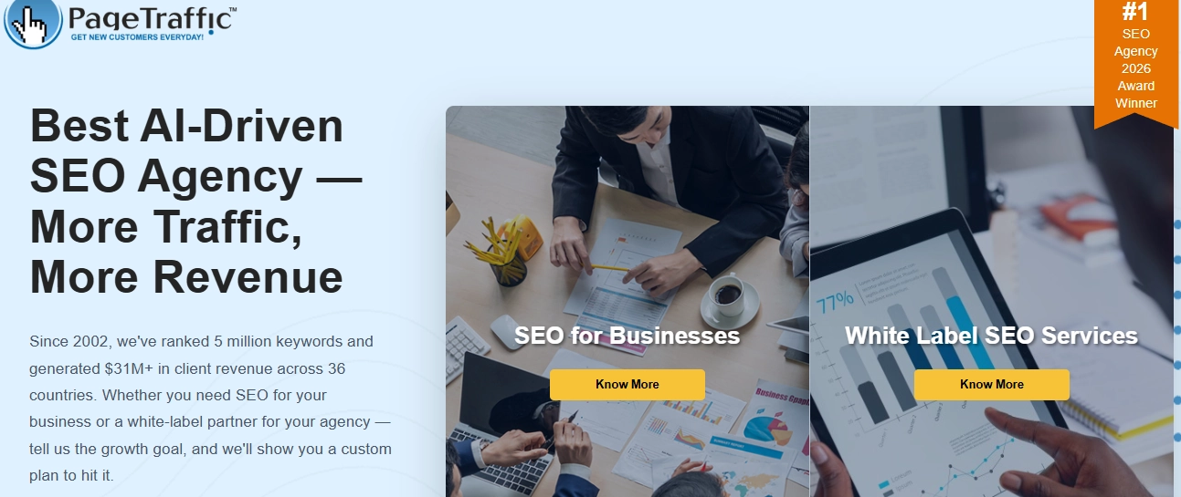 PageTraffic professional SEO solutions and search ranking improvements for South Korean businesses.